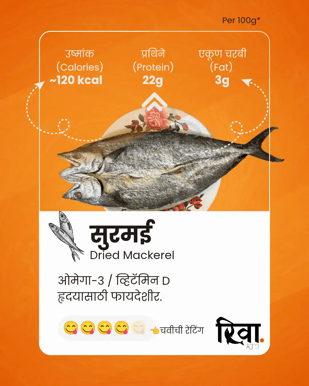 dried fish, dry fish, surmai, dried baby mackerel, riva agro